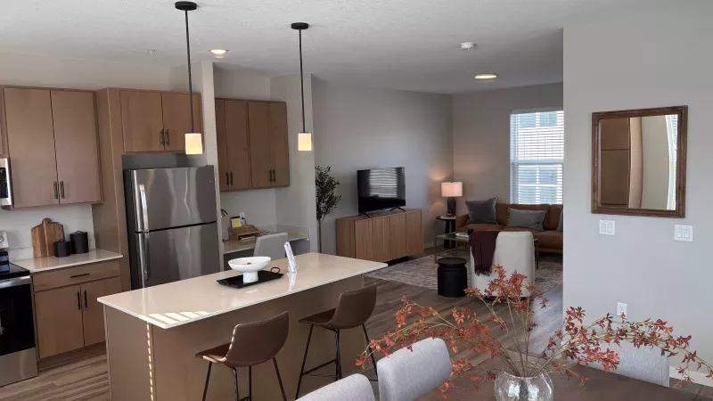 Modern Kitchen and Dining